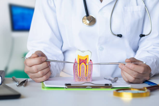 Best Urgent Tooth Repair  in Mounds View, MN